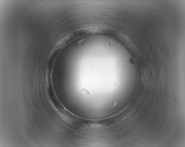 X0000061120590200512022154