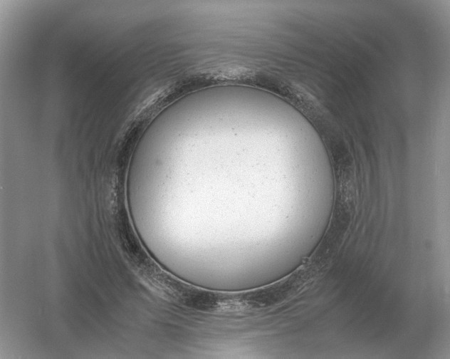 X0000061120591200512022154