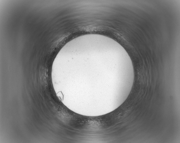 X0000061120592200512022154