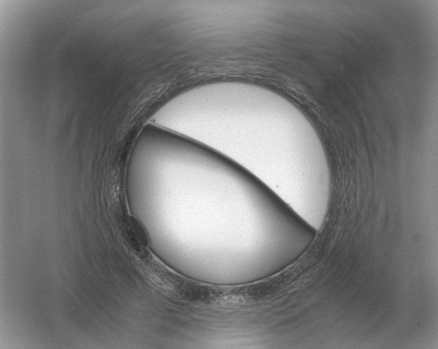 X0000061120593200512022154