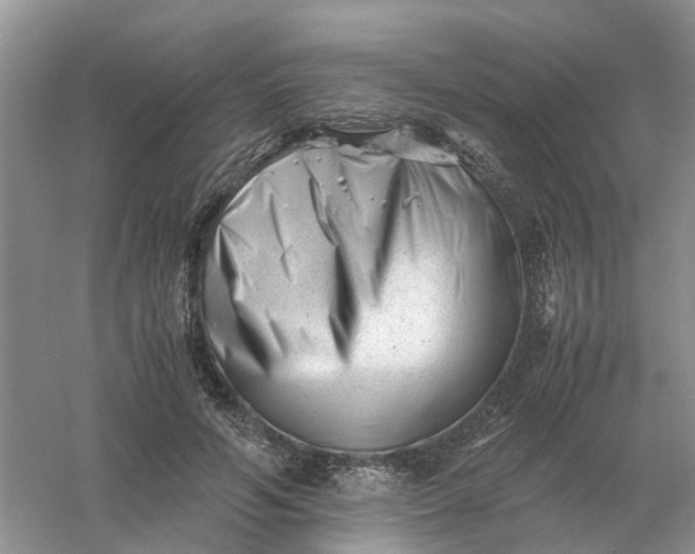 X0000061120594200512022154