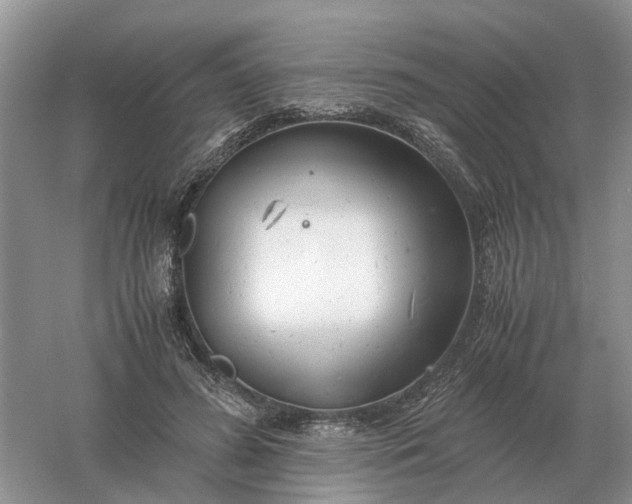 X0000061120596200512022154