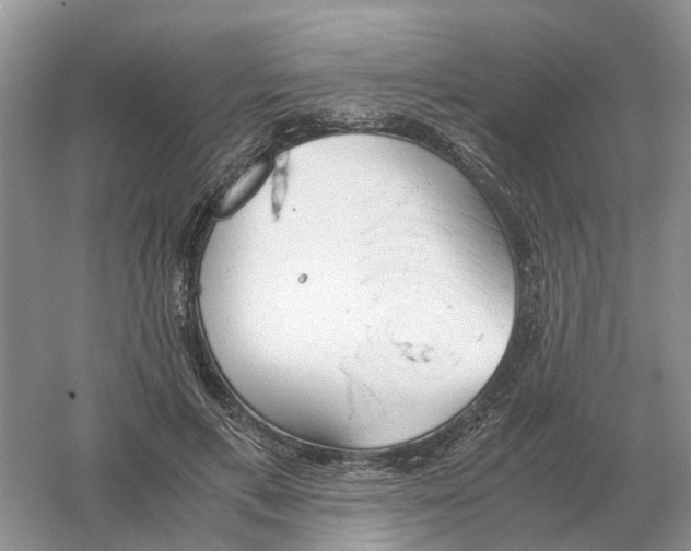 X0000061120597200512022154