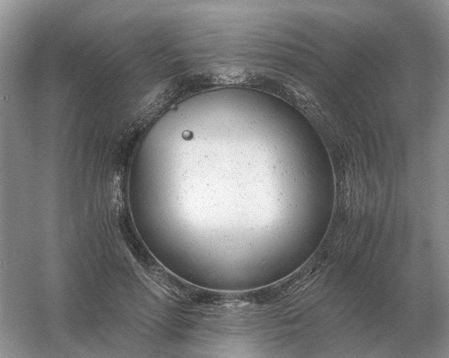 X0000061120598200512022154