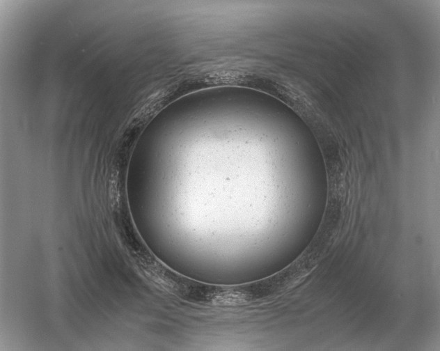 X0000061120599200512022154