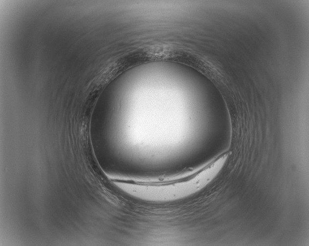 X0000061120601200512022154