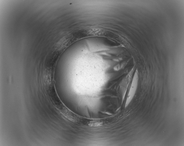 X0000061120602200512022154