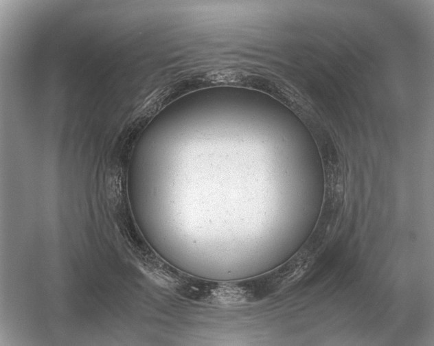 X0000061120603200512022154