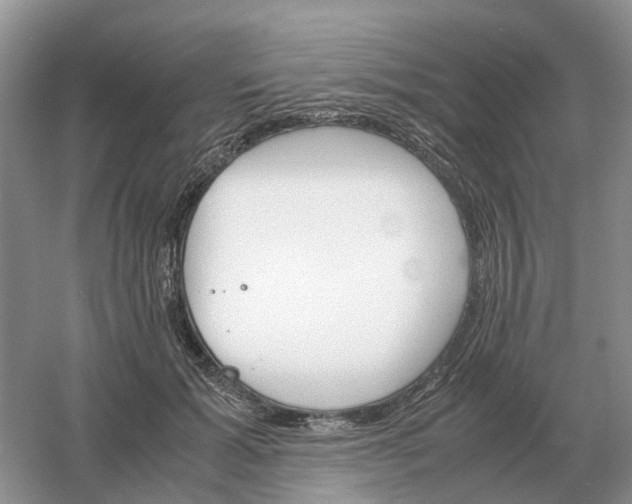 X0000061120605200512022154