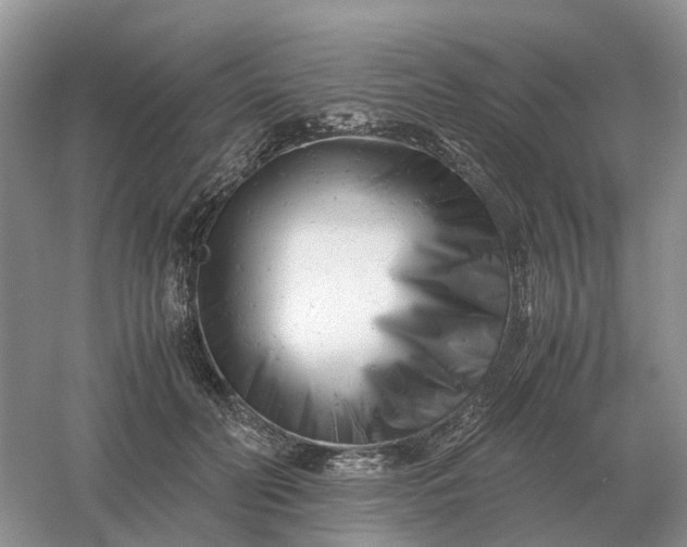 X0000061120606200512022154