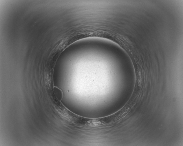 X0000061120607200512022154