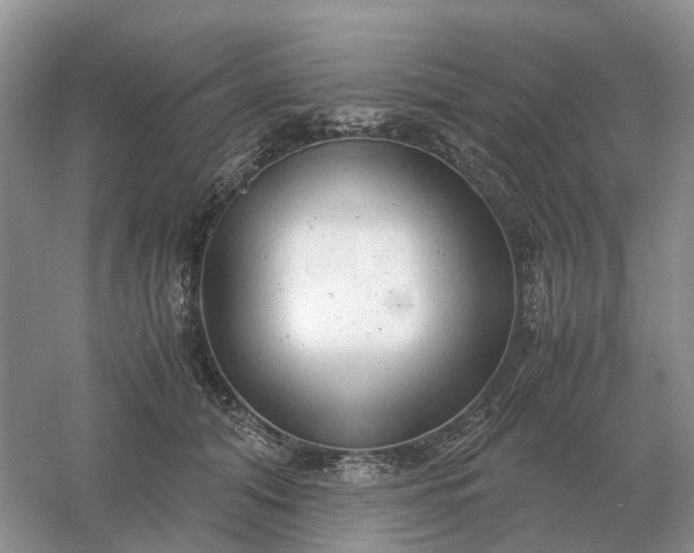 X0000061120608200512022154