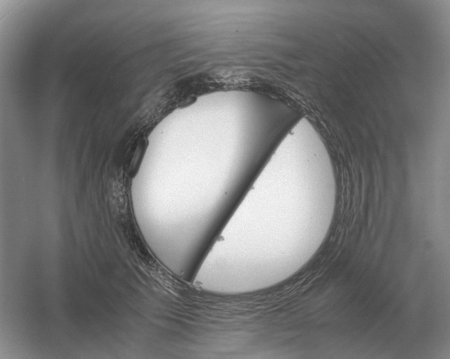 X0000061120609200512022154