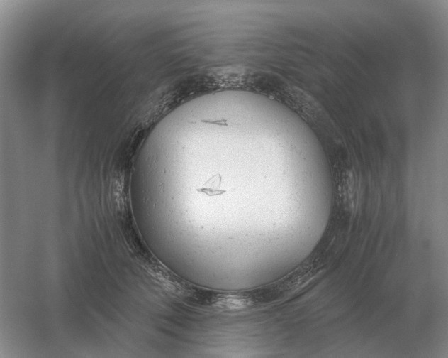 X0000061120610200512022154