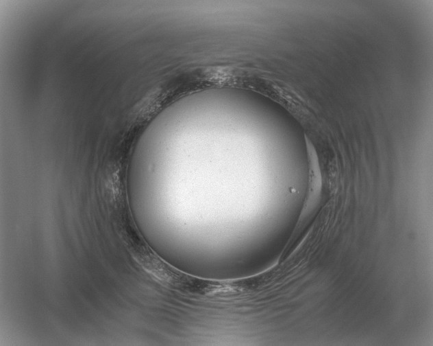 X0000061120611200512022154