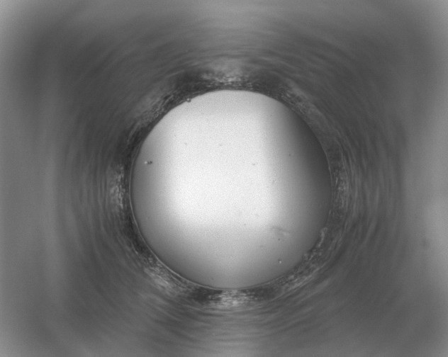 X0000061120612200512022154