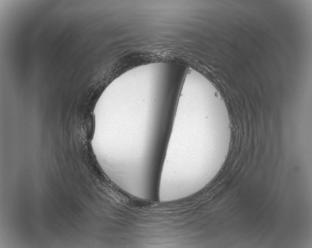 X0000061120613200512022154