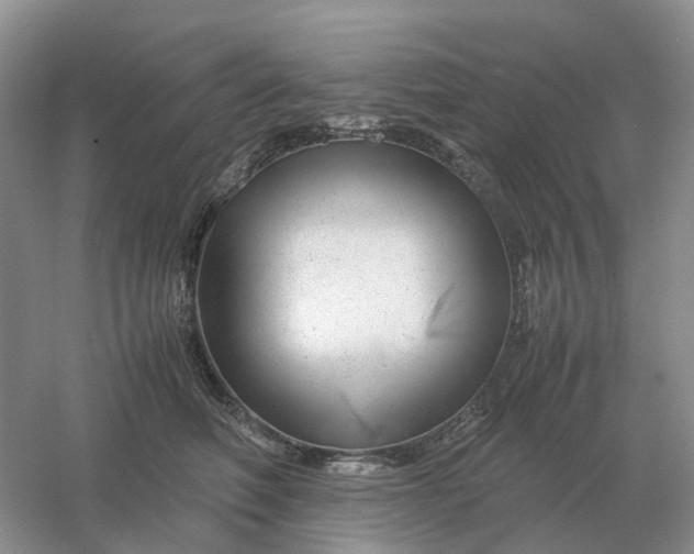 X0000061120614200512022154