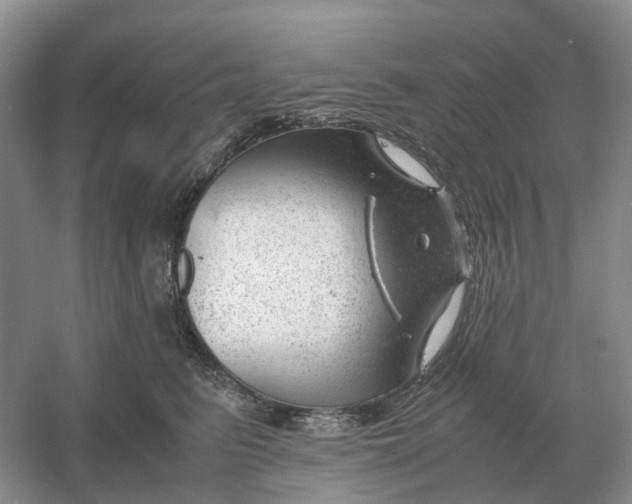 X0000061120615200512022154