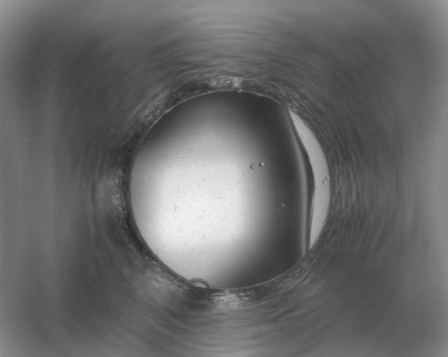 X0000061120616200512022154