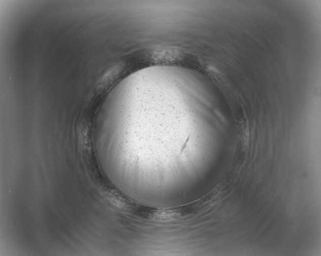 X0000061120619200512022154