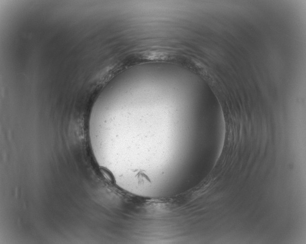 X0000061120620200512022154