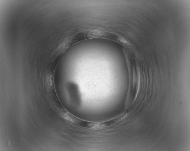 X0000061120621200512022154