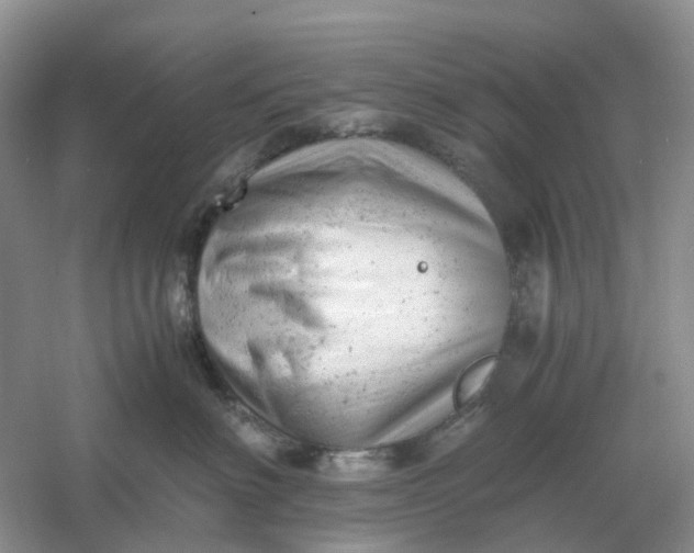 X0000061120622200512022154