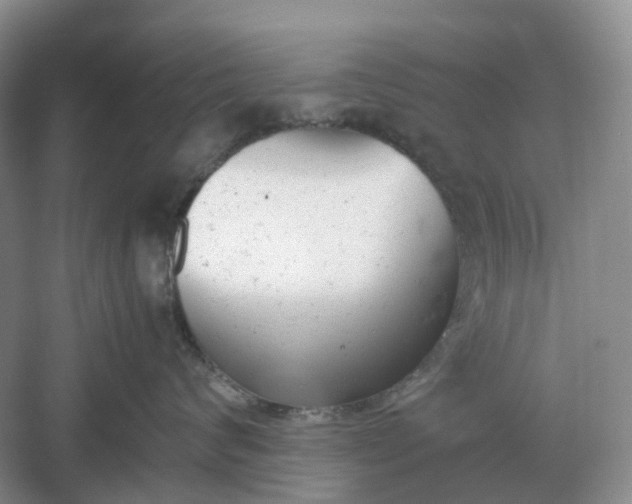 X0000061120624200512022154