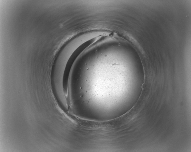 X0000061120625200512022153