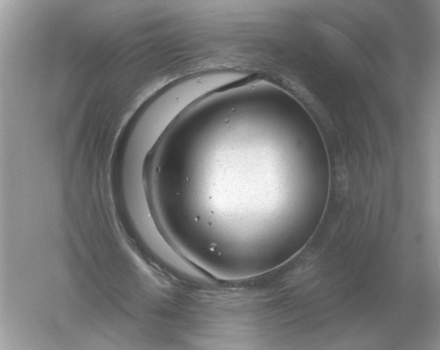 X0000061120626200512022153