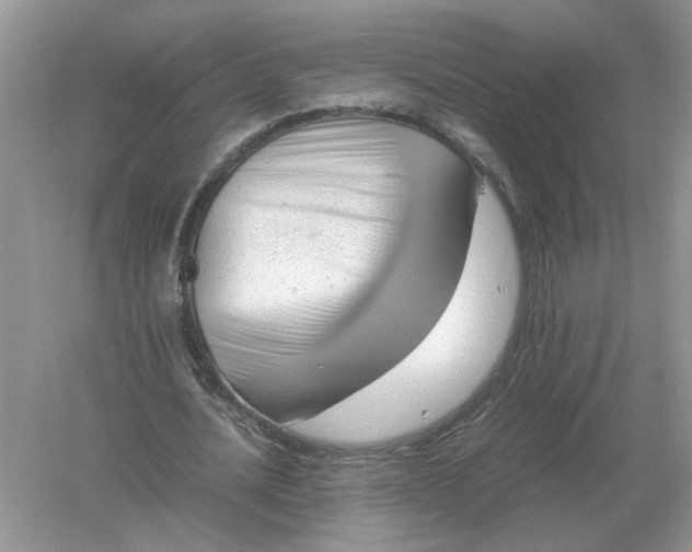 X0000061120628200512022153