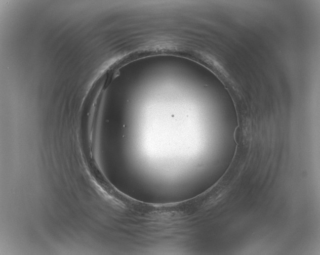 X0000061120629200512022153