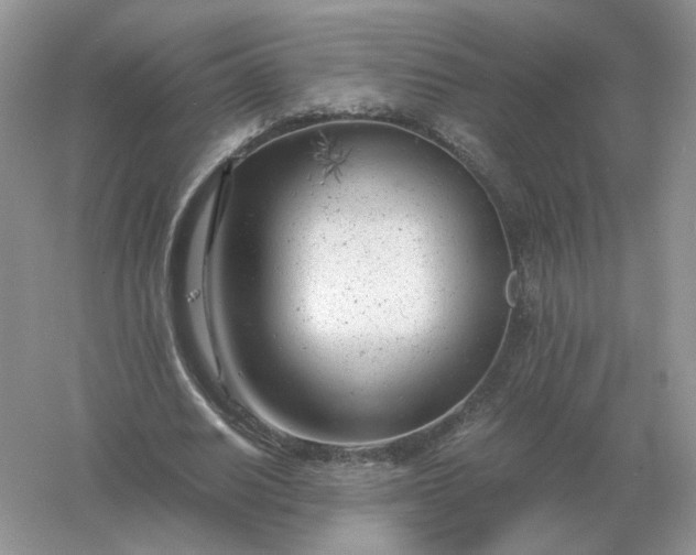 X0000061120630200512022153