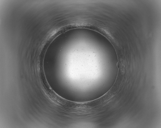 X0000061120631200512022153