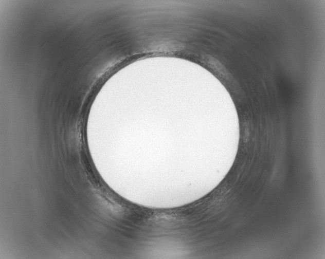 X0000061120632200512022153