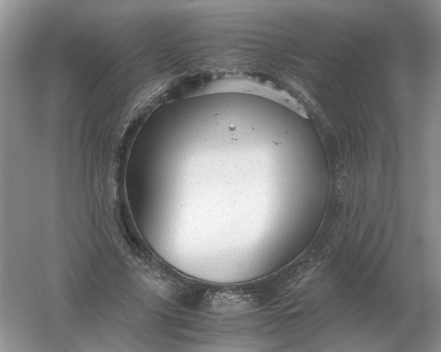 X0000061120635200512022153