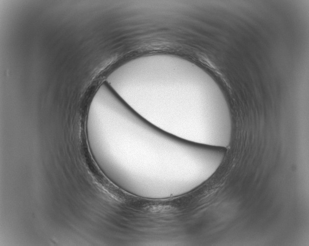 X0000061120637200512022153