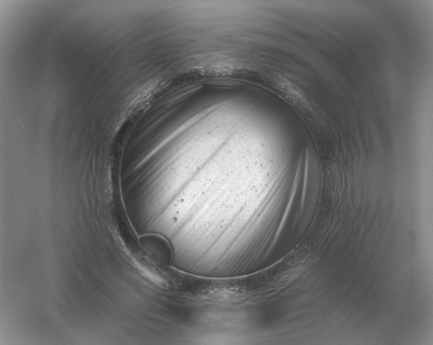 X0000061120638200512022153