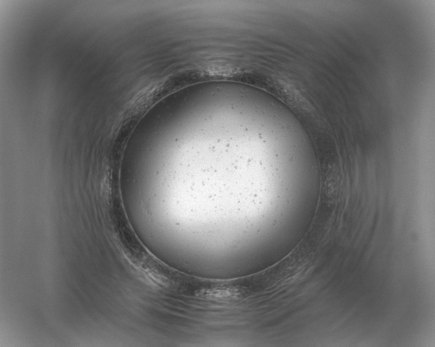 X0000061120639200512022153