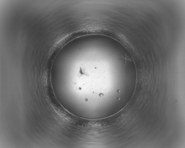 X0000061120640200512022153