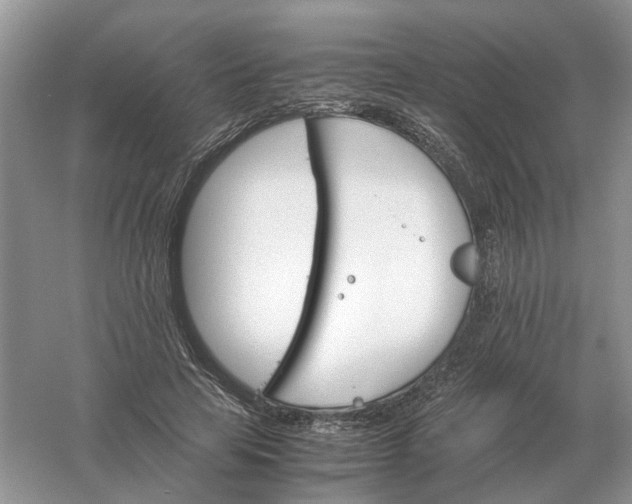 X0000061120641200512022153