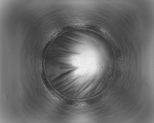 X0000061120642200512022153