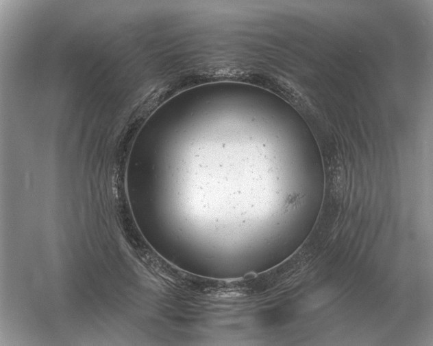 X0000061120643200512022153