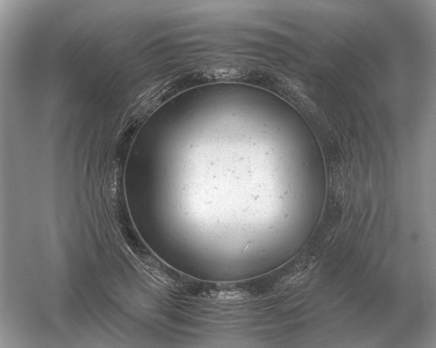 X0000061120645200512022153