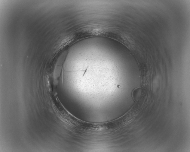 X0000061120646200512022153