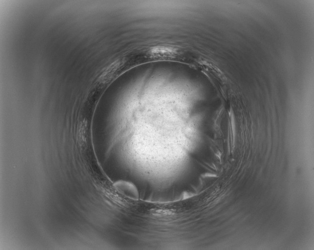 X0000061120649200512022153