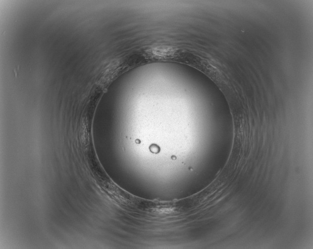 X0000061120651200512022153