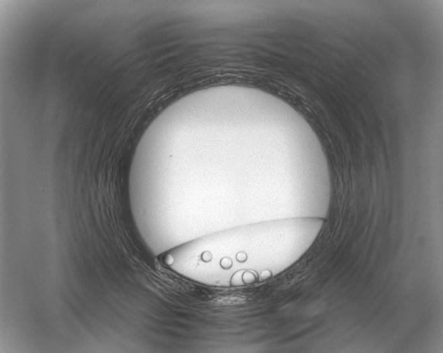 X0000061120653200512022153