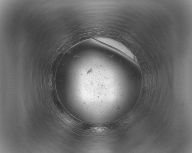 X0000061120654200512022153